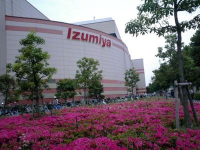 060604_izumiya1.jpg