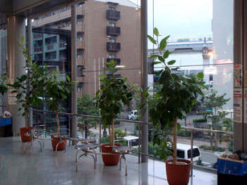 070909_atrium2.jpg