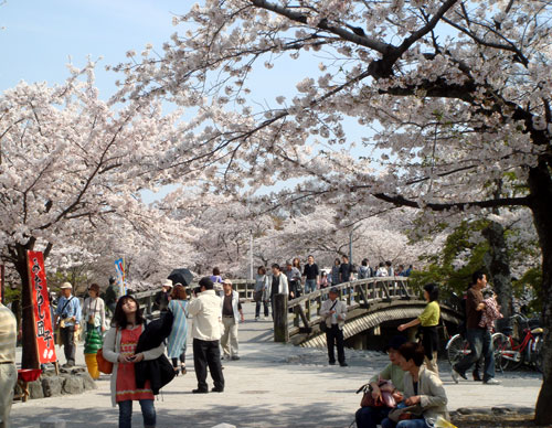 090408_嵐山公園・桜