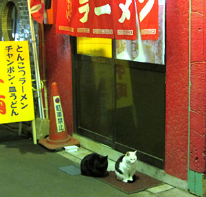 131212_伊勢駅前商店街・猫