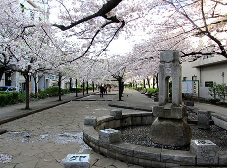 170407_山谷堀公園