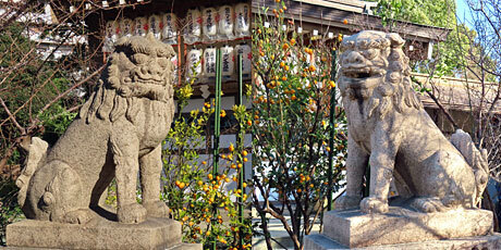 250101_香具波志神社