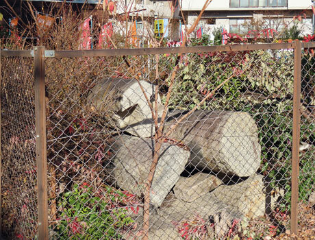 250101_香具波志神社