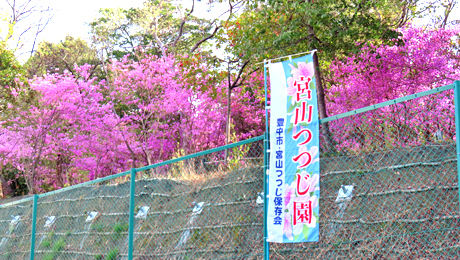 250409_{R
