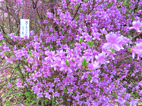 250409_{R